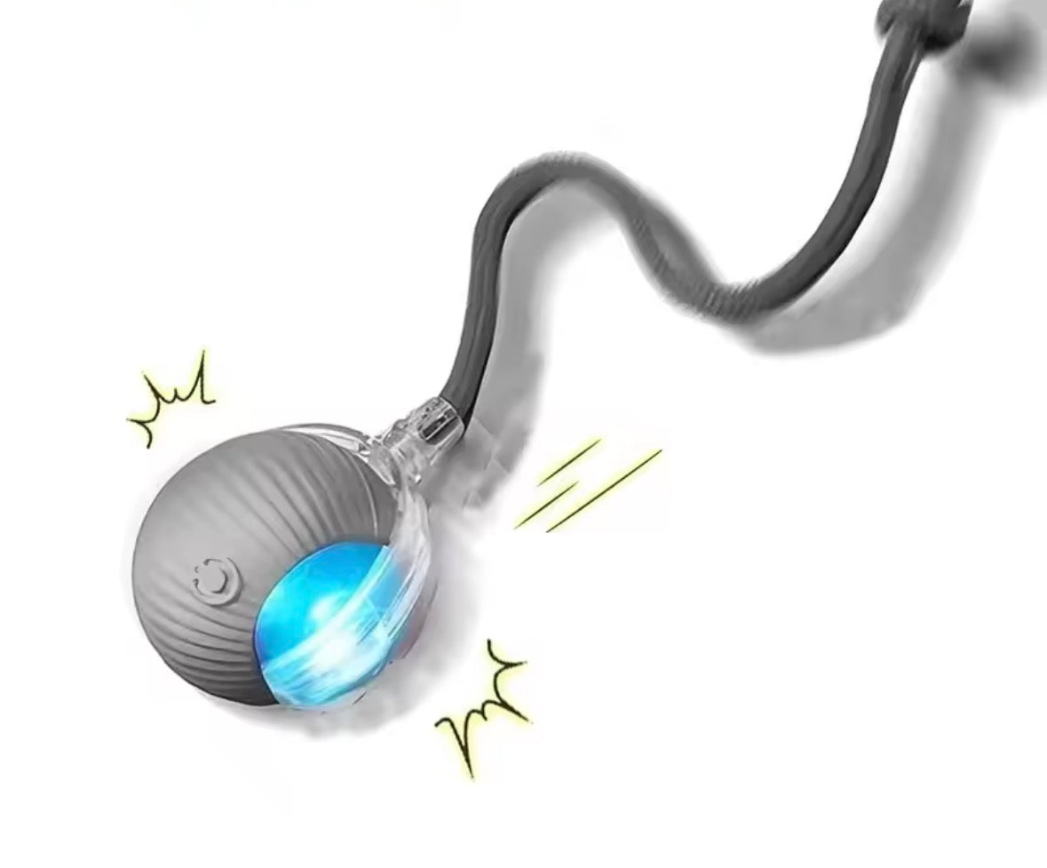 Automatic Rolling Dog Ball Rechargeable