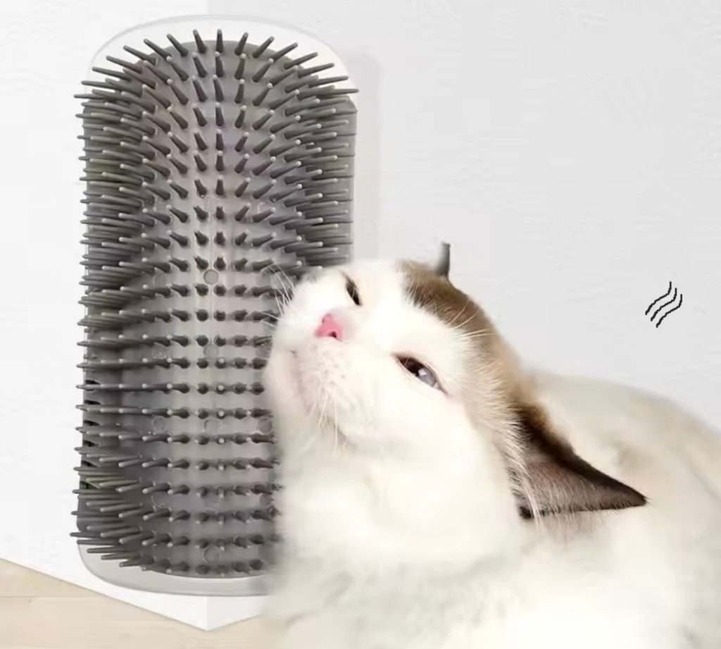 Massage Pet Cat Brush Corner Scrape Hair Removal