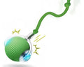 Automatic Rolling Dog Ball Rechargeable