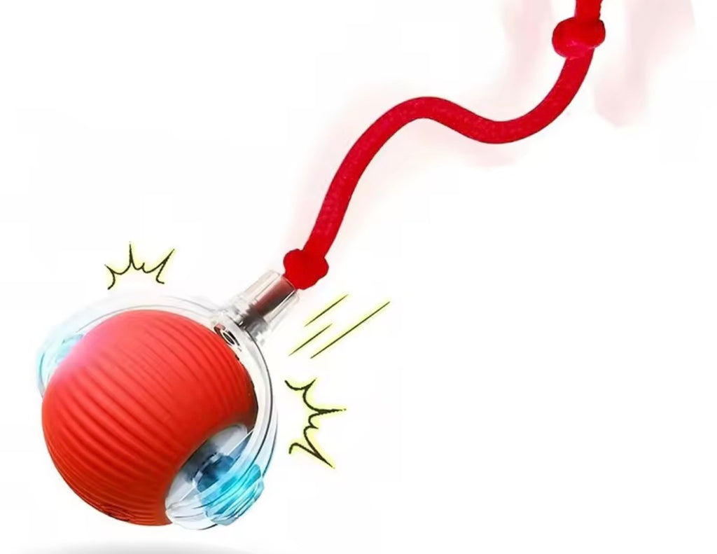 Automatic Rolling Dog Ball Rechargeable