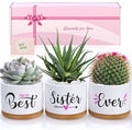Gifts for Sister