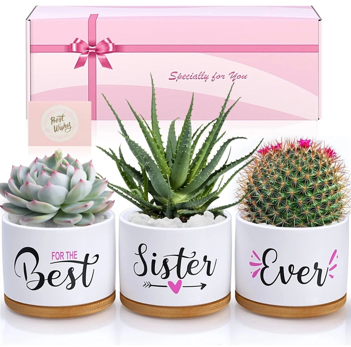 Gifts for Sister