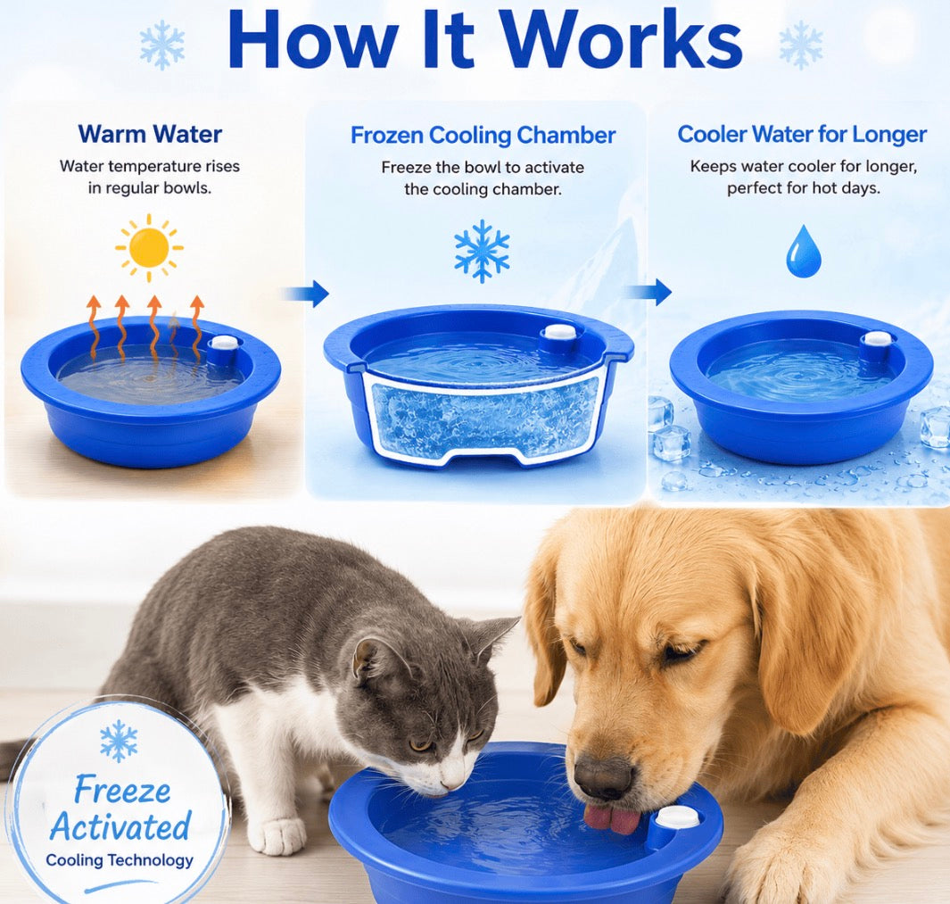 Water Feeding Bowl Cooling Drinker