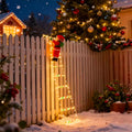 Santa Claus Ladder