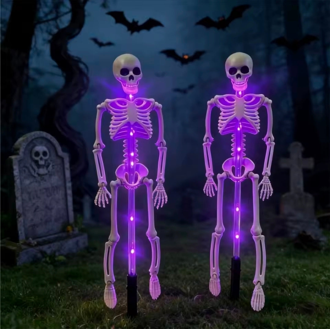 2Pc Set Halloween Outdoor Solar Lights