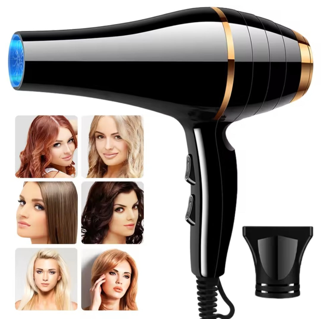 Professional Negative Ion Hair Dryer