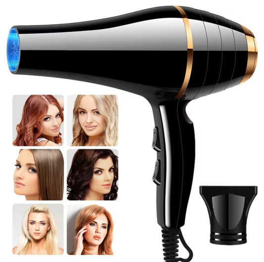 Professional Negative Ion Hair Dryer