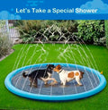 Dog Swimming Pool