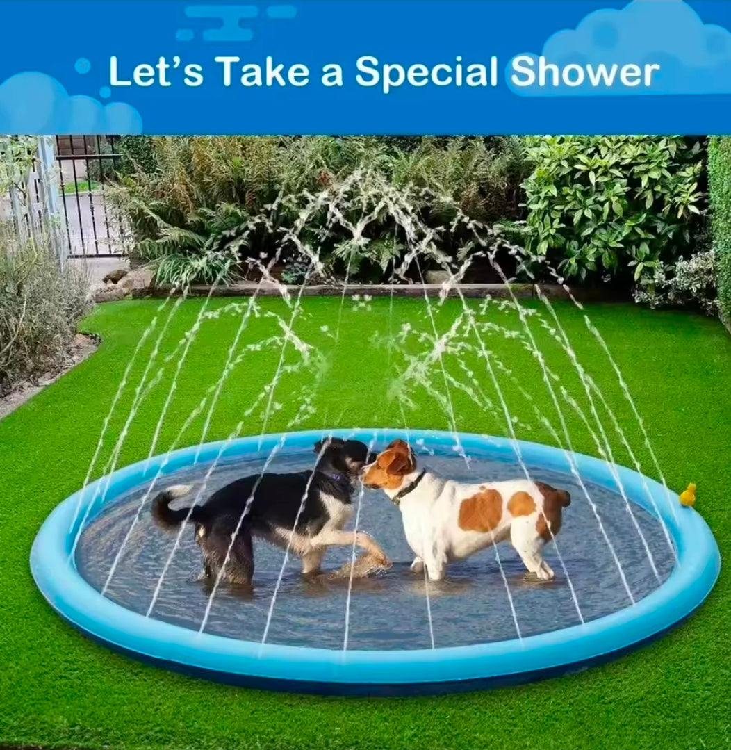 Dog Swimming Pool