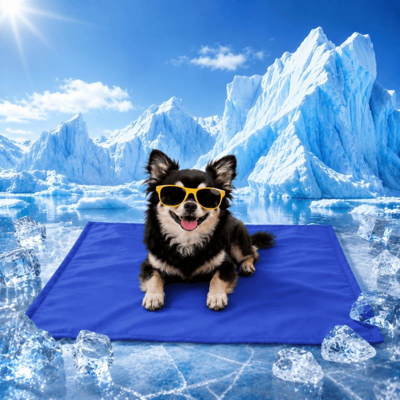 Dog Cooling Mat