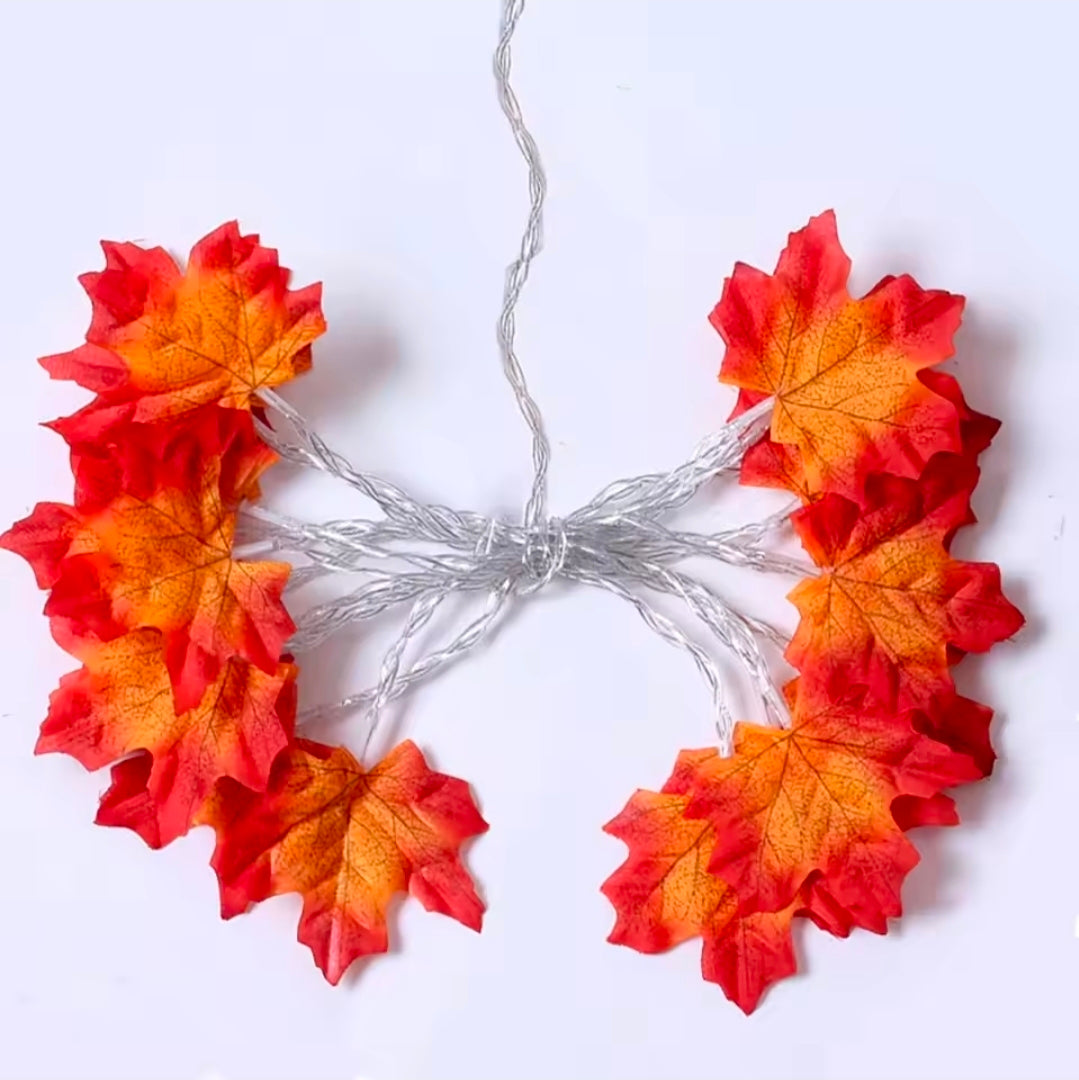 Halloween LED String Lights